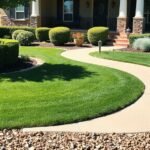 spacious front yard design ideas